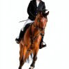 XIWAMA Adult Equestrian Helmet Black Large-8