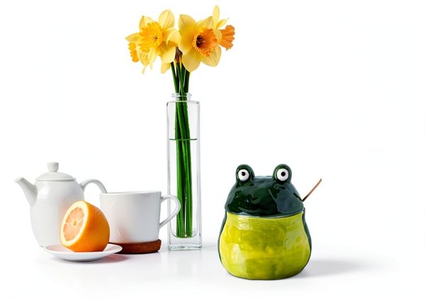 Frog Salt Cellar with Lid and Spoon Ceramic dgudgu Green Large-1